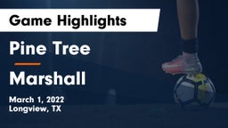 Pine Tree  vs Marshall  Game Highlights - March 1, 2022