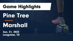Pine Tree  vs Marshall  Game Highlights - Jan. 31, 2023