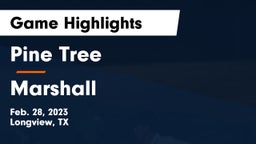 Pine Tree  vs Marshall  Game Highlights - Feb. 28, 2023