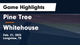 Pine Tree  vs Whitehouse  Game Highlights - Feb. 21, 2023