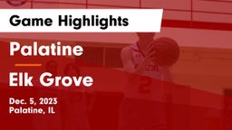 Palatine  vs Elk Grove  Game Highlights - Dec. 5, 2023