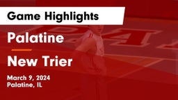 Palatine  vs New Trier  Game Highlights - March 9, 2024