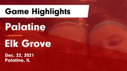 Palatine  vs Elk Grove  Game Highlights - Dec. 22, 2021