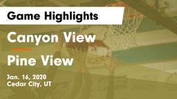 Canyon View  vs Pine View  Game Highlights - Jan. 16, 2020