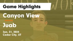 Canyon View  vs Juab  Game Highlights - Jan. 31, 2024