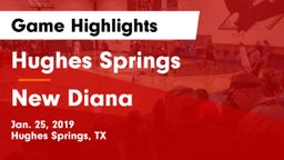 Hughes Springs  vs New Diana  Game Highlights - Jan. 25, 2019