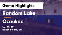 Random Lake  vs Ozaukee  Game Highlights - Jan 31, 2017