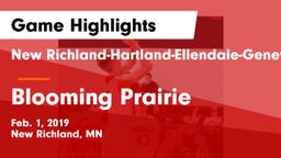 New Richland-Hartland-Ellendale-Geneva  vs Blooming Prairie  Game Highlights - Feb. 1, 2019