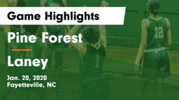 Pine Forest  vs Laney  Game Highlights - Jan. 20, 2020