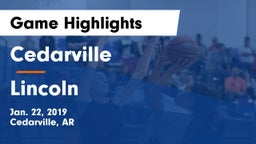 Cedarville  vs Lincoln  Game Highlights - Jan. 22, 2019