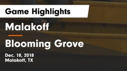 Malakoff  vs Blooming Grove  Game Highlights - Dec. 18, 2018