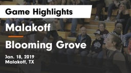 Malakoff  vs Blooming Grove  Game Highlights - Jan. 18, 2019
