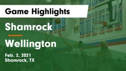 Shamrock  vs Wellington  Game Highlights - Feb. 2, 2021