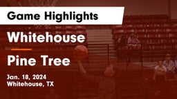 Whitehouse  vs Pine Tree  Game Highlights - Jan. 18, 2024