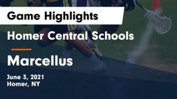 Homer Central Schools vs Marcellus  Game Highlights - June 3, 2021