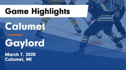 Calumet  vs Gaylord  Game Highlights - March 7, 2020