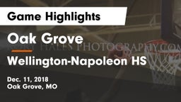 Oak Grove  vs Wellington-Napoleon HS Game Highlights - Dec. 11, 2018