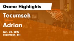 Tecumseh  vs Adrian  Game Highlights - Jan. 28, 2022