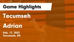 Tecumseh  vs Adrian  Game Highlights - Feb. 17, 2023