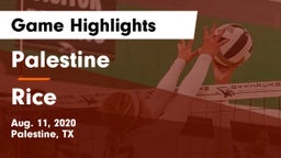 Palestine  vs Rice  Game Highlights - Aug. 11, 2020