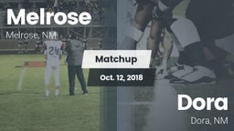 Matchup: Melrose  vs. Dora  2018