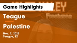 Teague  vs Palestine  Game Highlights - Nov. 7, 2023