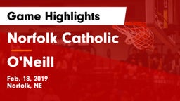 Norfolk Catholic  vs O'Neill  Game Highlights - Feb. 18, 2019