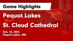 Pequot Lakes  vs St. Cloud Cathedral  Game Highlights - Feb. 10, 2023