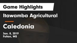 Itawamba Agricultural  vs Caledonia  Game Highlights - Jan. 8, 2019