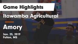 Itawamba Agricultural  vs Amory  Game Highlights - Jan. 25, 2019