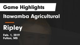 Itawamba Agricultural  vs Ripley Game Highlights - Feb. 1, 2019