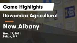 Itawamba Agricultural  vs New Albany  Game Highlights - Nov. 12, 2021