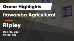 Itawamba Agricultural  vs Ripley  Game Highlights - Dec. 28, 2021
