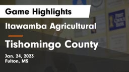 Itawamba Agricultural  vs Tishomingo County Game Highlights - Jan. 24, 2023