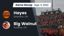 Recap: Hayes  vs. Big Walnut 2022