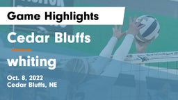 Cedar Bluffs  vs whiting Game Highlights - Oct. 8, 2022