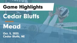 Cedar Bluffs  vs Mead  Game Highlights - Oct. 5, 2023