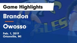 Brandon  vs Owosso Game Highlights - Feb. 1, 2019