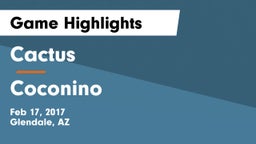Cactus  vs Coconino  Game Highlights - Feb 17, 2017