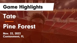 Tate  vs Pine Forest  Game Highlights - Nov. 22, 2022