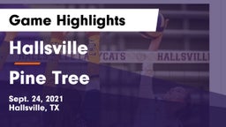 Hallsville  vs Pine Tree  Game Highlights - Sept. 24, 2021