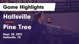 Hallsville  vs Pine Tree  Game Highlights - Sept. 28, 2022