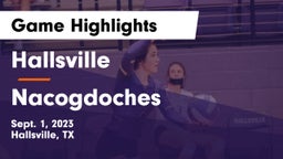Hallsville  vs Nacogdoches  Game Highlights - Sept. 1, 2023