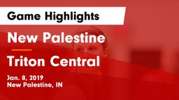 New Palestine  vs Triton Central  Game Highlights - Jan. 8, 2019