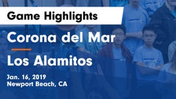 Corona del Mar  vs Los Alamitos  Game Highlights - Jan. 16, 2019