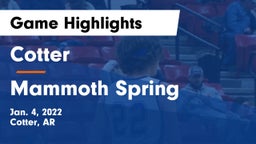 Cotter  vs Mammoth Spring Game Highlights - Jan. 4, 2022