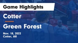 Cotter  vs Green Forest  Game Highlights - Nov. 18, 2022