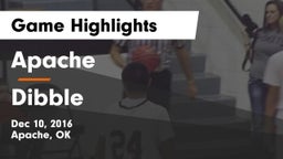 Apache  vs Dibble  Game Highlights - Dec 10, 2016