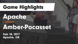 Apache  vs Amber-Pocasset Game Highlights - Feb 18, 2017