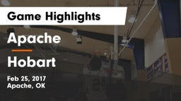 Apache  vs Hobart  Game Highlights - Feb 25, 2017